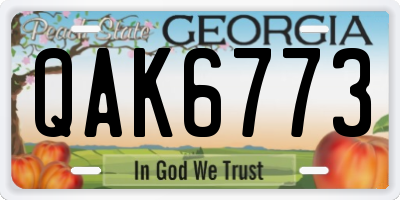 GA license plate QAK6773