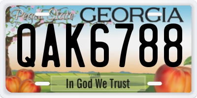 GA license plate QAK6788