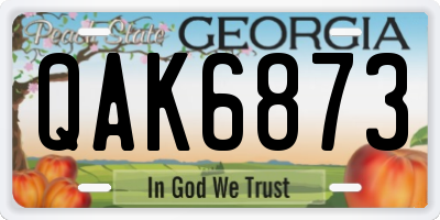 GA license plate QAK6873