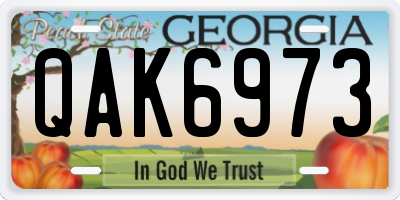 GA license plate QAK6973