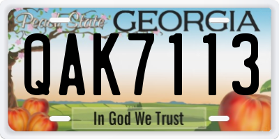 GA license plate QAK7113