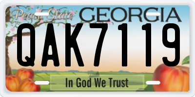 GA license plate QAK7119