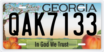 GA license plate QAK7133