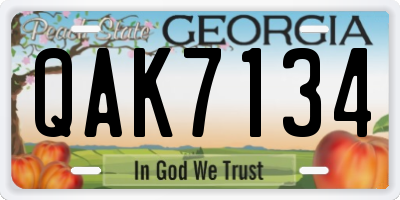 GA license plate QAK7134