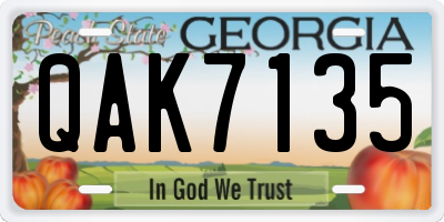 GA license plate QAK7135