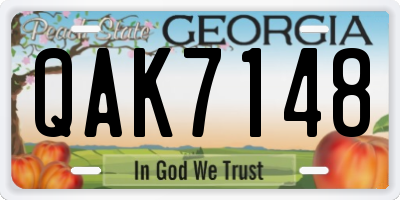 GA license plate QAK7148