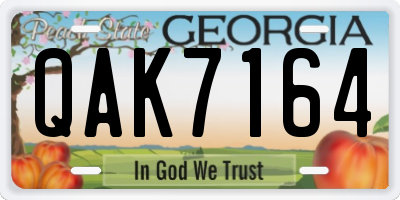 GA license plate QAK7164