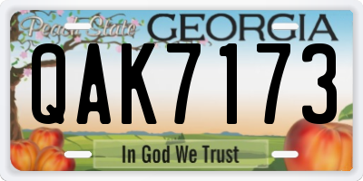 GA license plate QAK7173
