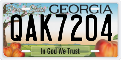 GA license plate QAK7204
