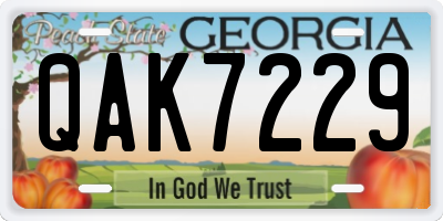 GA license plate QAK7229
