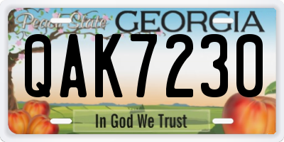 GA license plate QAK7230