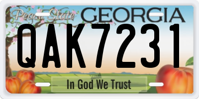 GA license plate QAK7231