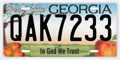 GA license plate QAK7233