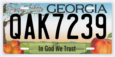 GA license plate QAK7239