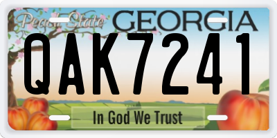 GA license plate QAK7241