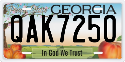 GA license plate QAK7250