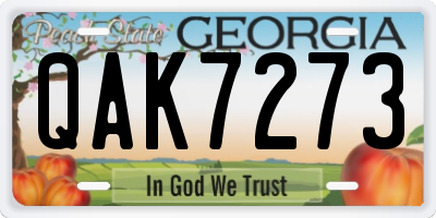 GA license plate QAK7273