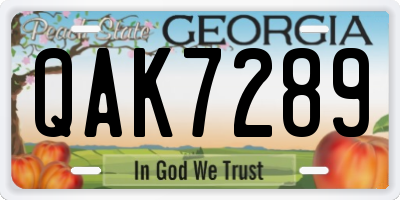 GA license plate QAK7289