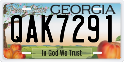 GA license plate QAK7291