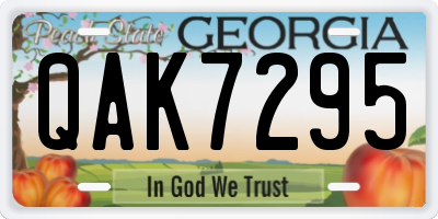 GA license plate QAK7295