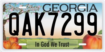 GA license plate QAK7299