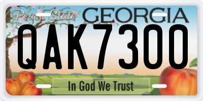 GA license plate QAK7300