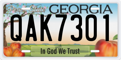 GA license plate QAK7301