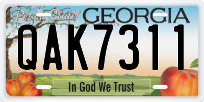 GA license plate QAK7311