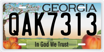 GA license plate QAK7313