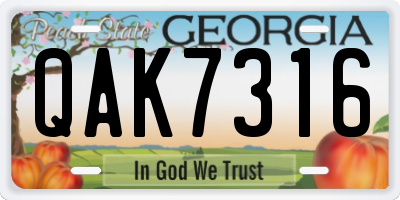 GA license plate QAK7316