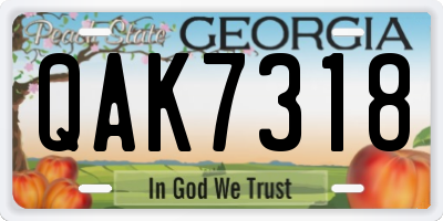 GA license plate QAK7318