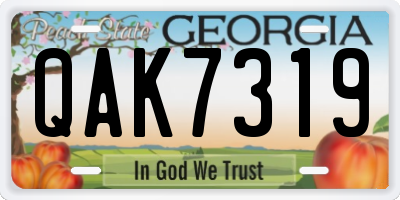 GA license plate QAK7319