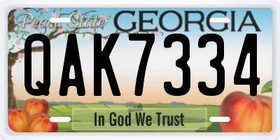 GA license plate QAK7334