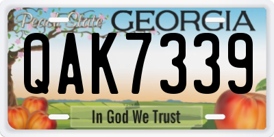 GA license plate QAK7339
