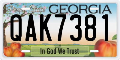 GA license plate QAK7381