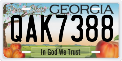 GA license plate QAK7388