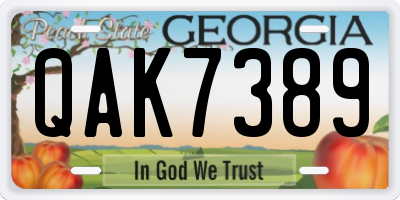 GA license plate QAK7389