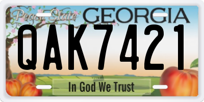 GA license plate QAK7421