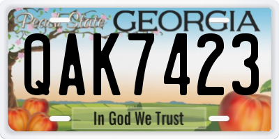 GA license plate QAK7423