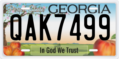 GA license plate QAK7499