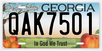 GA license plate QAK7501