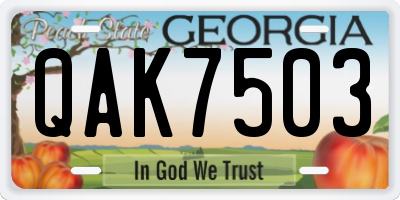 GA license plate QAK7503