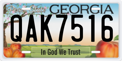 GA license plate QAK7516