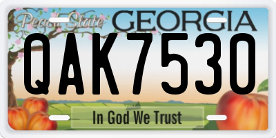 GA license plate QAK7530