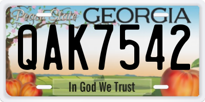 GA license plate QAK7542