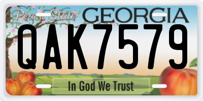 GA license plate QAK7579