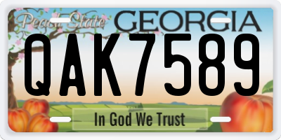 GA license plate QAK7589