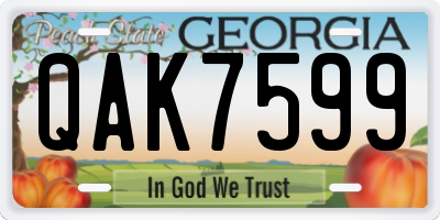 GA license plate QAK7599