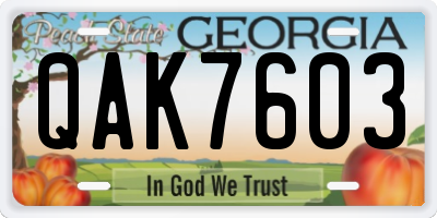 GA license plate QAK7603