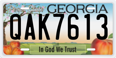 GA license plate QAK7613